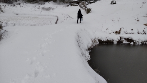 雪のなか往診しました