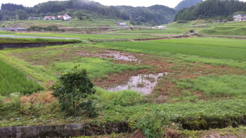 豪雨被害について