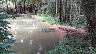 豪雨被害について