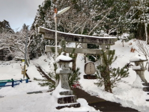 新年明けましておめでとうございます