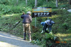 秋祭り前の清掃活動