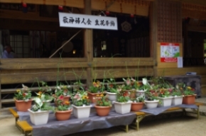 市森神社の夏祭り