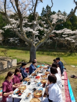 お花見