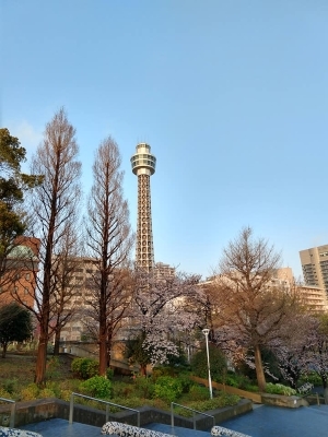 日本循環器学会総会