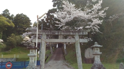 つくしと桜