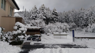 雪景色