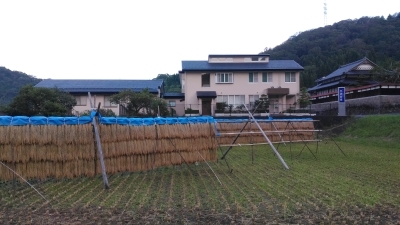 医院前の景色